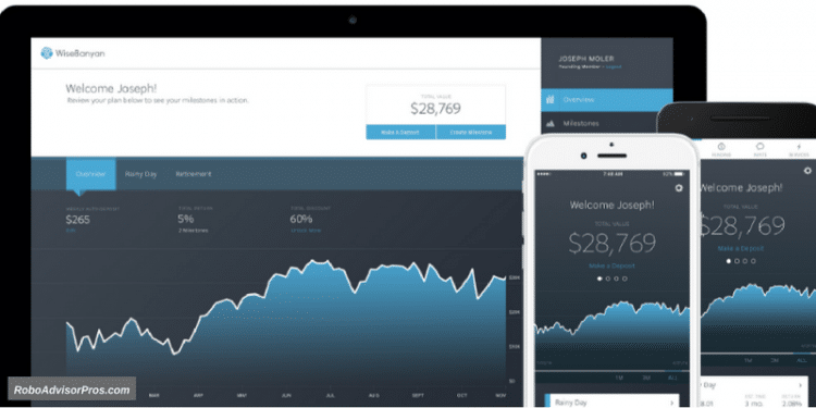 Best WiseBanyan Review - Account Overview Dashboard