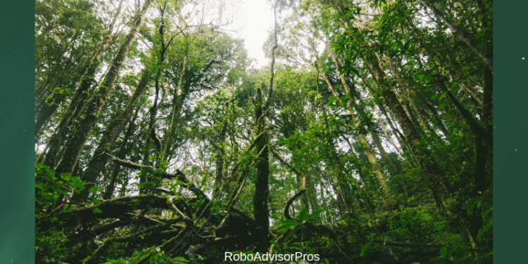 Sustainable investing with Sustainfolio