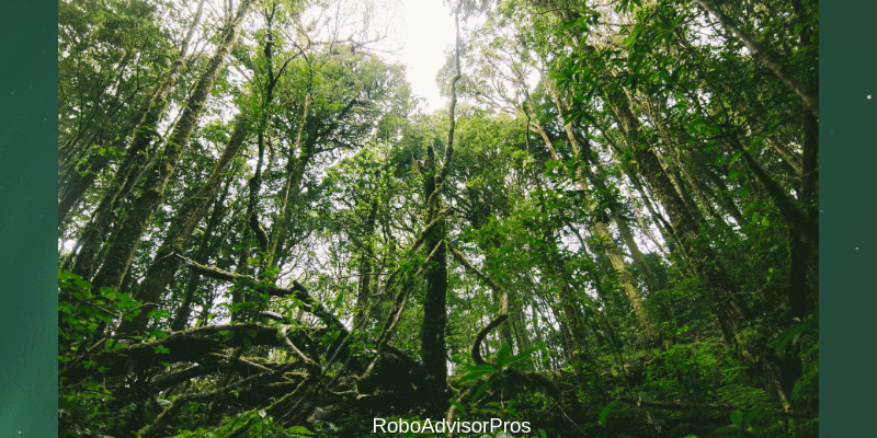 Sustainable investing with Sustainfolio