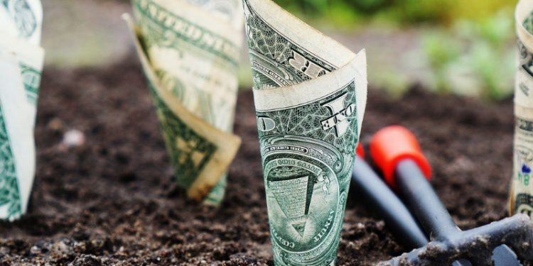 Vanguard vs. Betterment Robo-advisors
