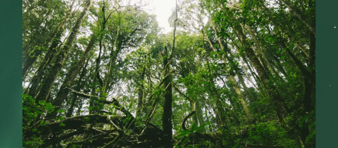 Sustainable investing with Sustainfolio